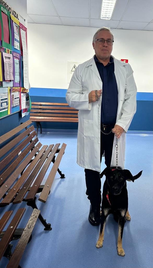 Na imagem, doutor Ronald, um homem branco, de cabelo grisallho e óculos, usa jaleco branco e segura o cão hospitalar, um cachorro sem raça definida de cor preta e patas com pelos de cor caramelo. No ambiente, há três bancos de madeira, paredes azuis e avisos coloridos em uma delas